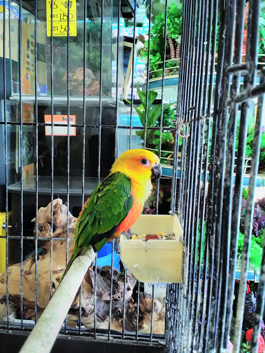 Pet Store «Pet Central», reviews and photos, 1411 Powell St, San Francisco, CA 94109, USA