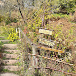 Photo n°2 de l'avis de Dr..o fait le 29/10/2022 à 20:03 sur le  Naturfreundehaus Badener Höhe à Bühl