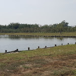 Photo n°8 de l'avis de Vincenzo.a fait le 29/09/2020 à 21:55 sur le  Agriturismo Fertilya à Casaluce