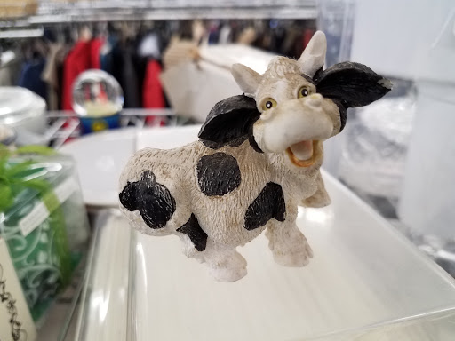 Non-Profit Organization «Goodwill of the Great Plains», reviews and photos