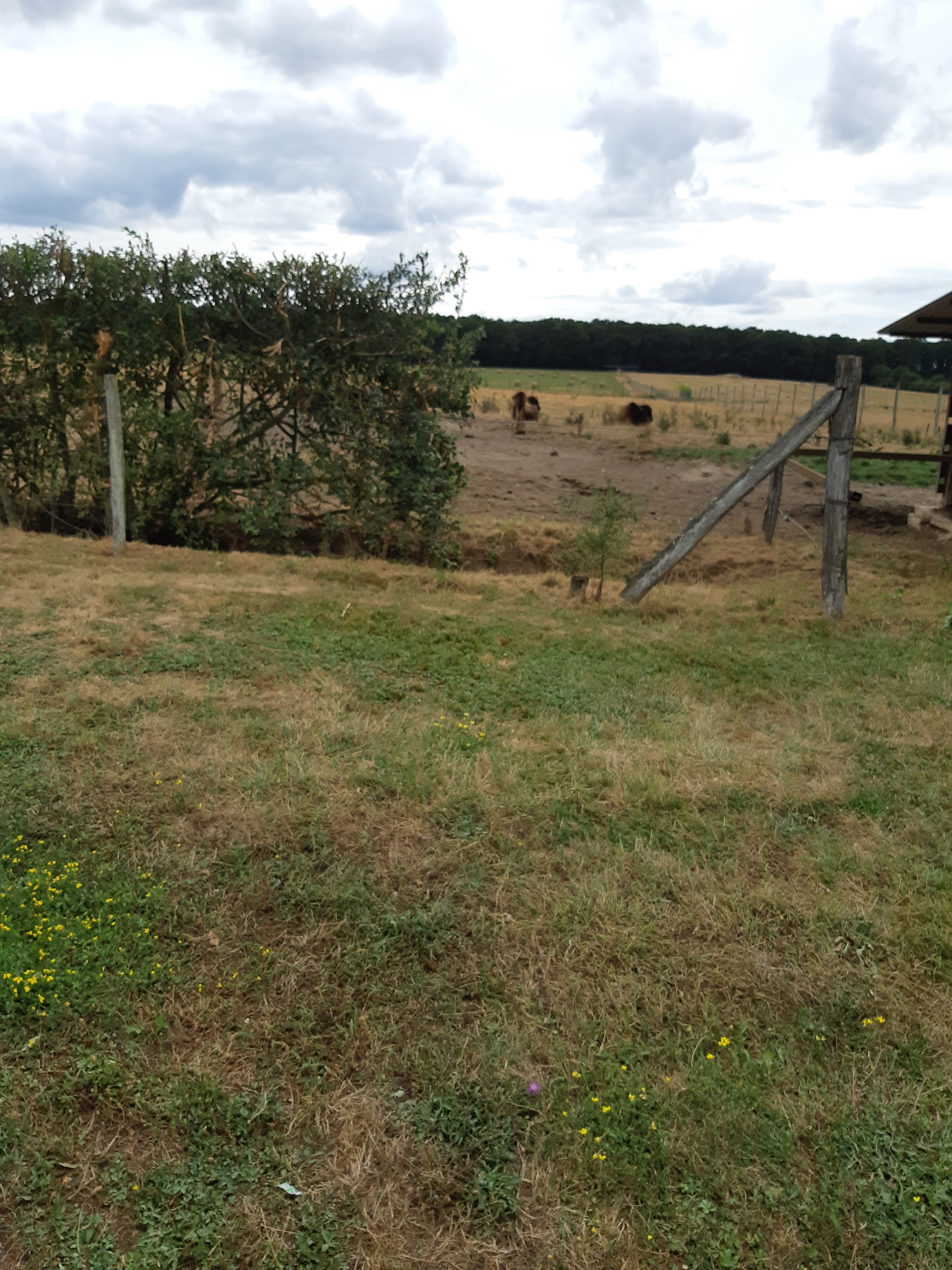 Photo n° 40 de l'avis de Carla.a fait le 10/08/2018 à 15:54