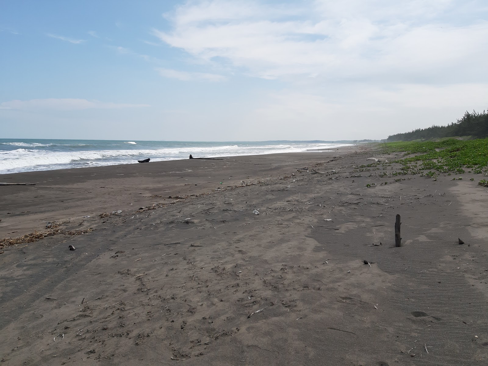 Photo de Playa Chalchihuecan avec rivage droit, long