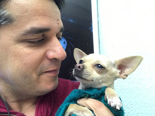 Green Dog Centro Veterinario en Pinto