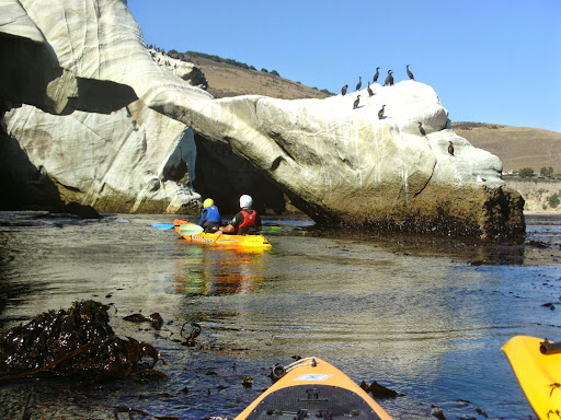 Surf Shop «Pismo Beach Surf Shop», reviews and photos, 470 Price St, Pismo Beach, CA 93449, USA