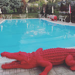 Photo n°2 de l'avis de Rainer.� fait le 11/04/2023 à 16:57 sur le  Amadeus Ora&Amore à Auer