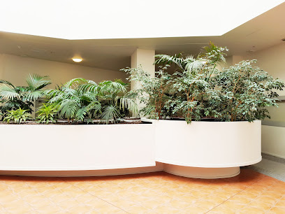 Ambius Indoor Plants Wellington