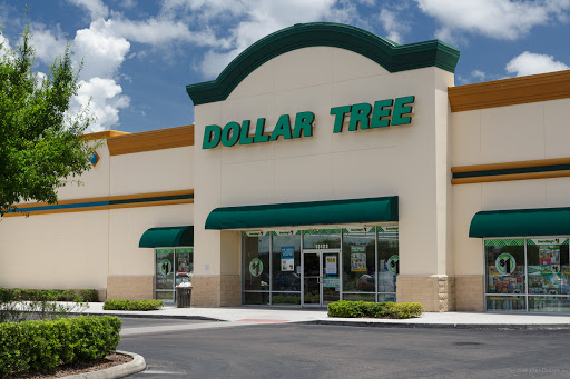 Dollar Tree, 13120 US-301 #133, Riverview, FL 33578, USA, 