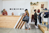 One Down Dog - Photo 4 - Car repair in Los Angeles, CA, Los Angeles