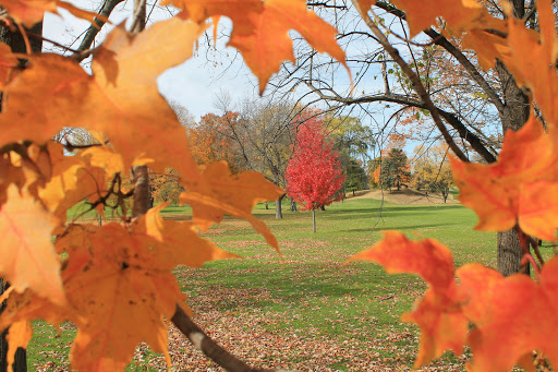 Golf Club «Golden Valley Country Club», reviews and photos, 7001 Golden Valley Rd, Golden Valley, MN 55427, USA
