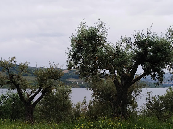 Photos des visiteurs Bed & Breakfast The Falcon B & B 82026 Morcone