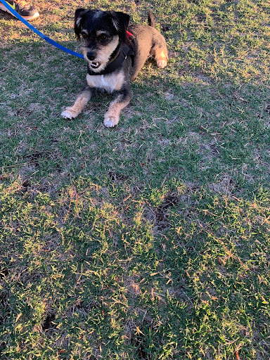 Park «Granada Park», reviews and photos, 6505 N 20th St, Phoenix, AZ 85016, USA