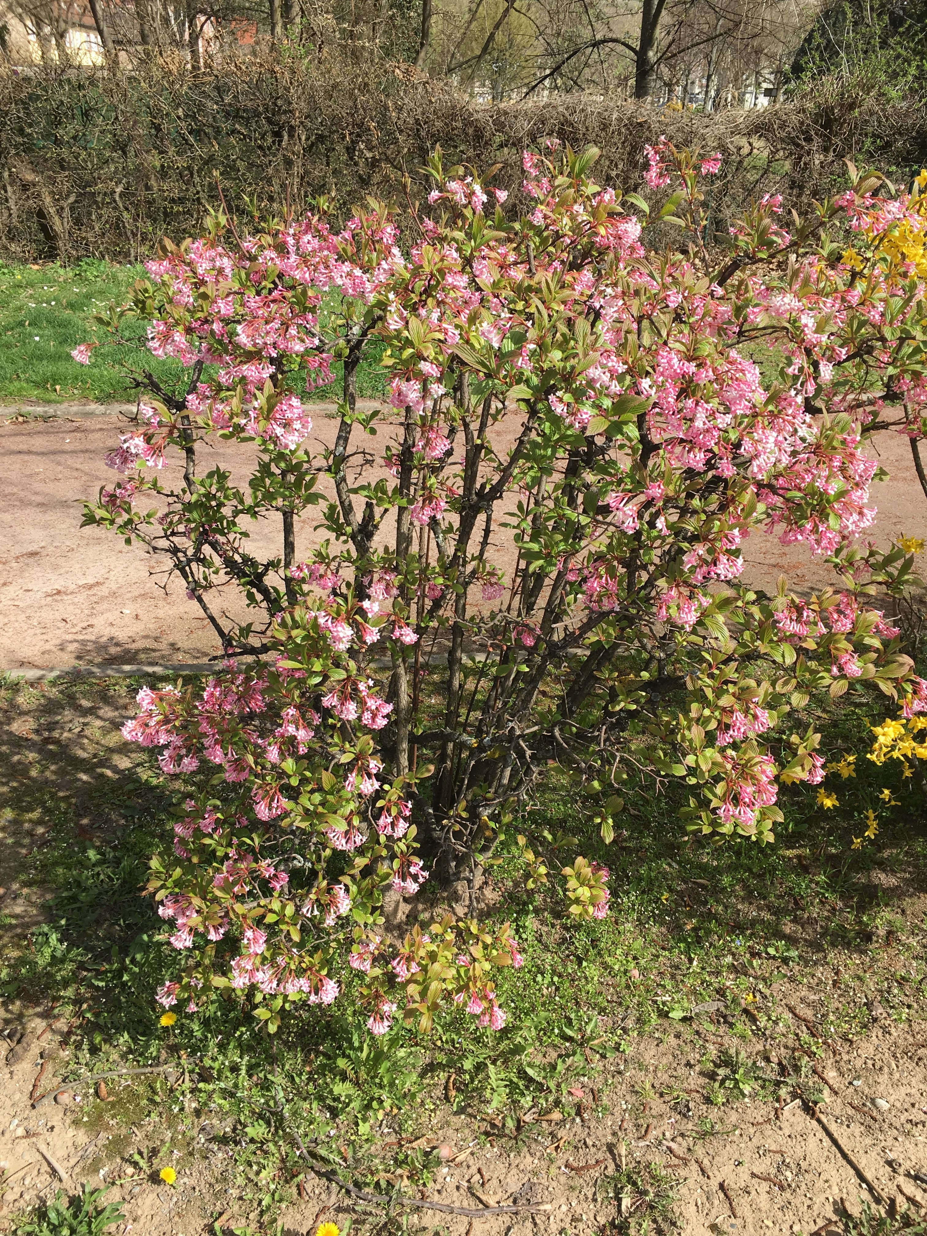 Photo n° 12 de l'avis de Roland.a fait le 08/04/2018 à 15:17