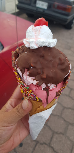 HELADOS Y PALETAS ALASKA