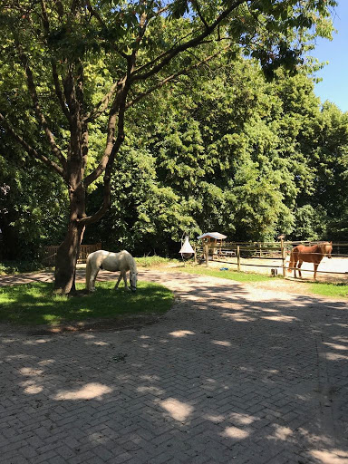 Tierarztpraxis am Grienenbergsmoor unter Hagen im Bremischen, Niedersachsen