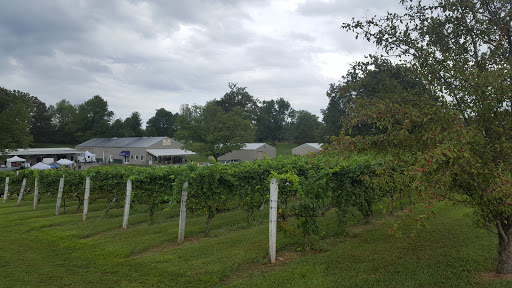 Winery «Purple Toad Winery», reviews and photos, 4275 Old US Hwy 45 S, Paducah, KY 42003, USA