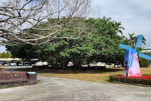 Tai'an Lovers Tree image