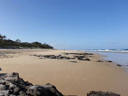 Zdjęcie Mudjimba Beach dziki obszar