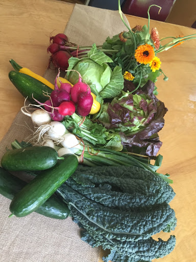 Farm «Coverdale Farm Preserve of Delaware Nature Society», reviews and photos, 543 Way Rd, Greenville, DE 19807, USA