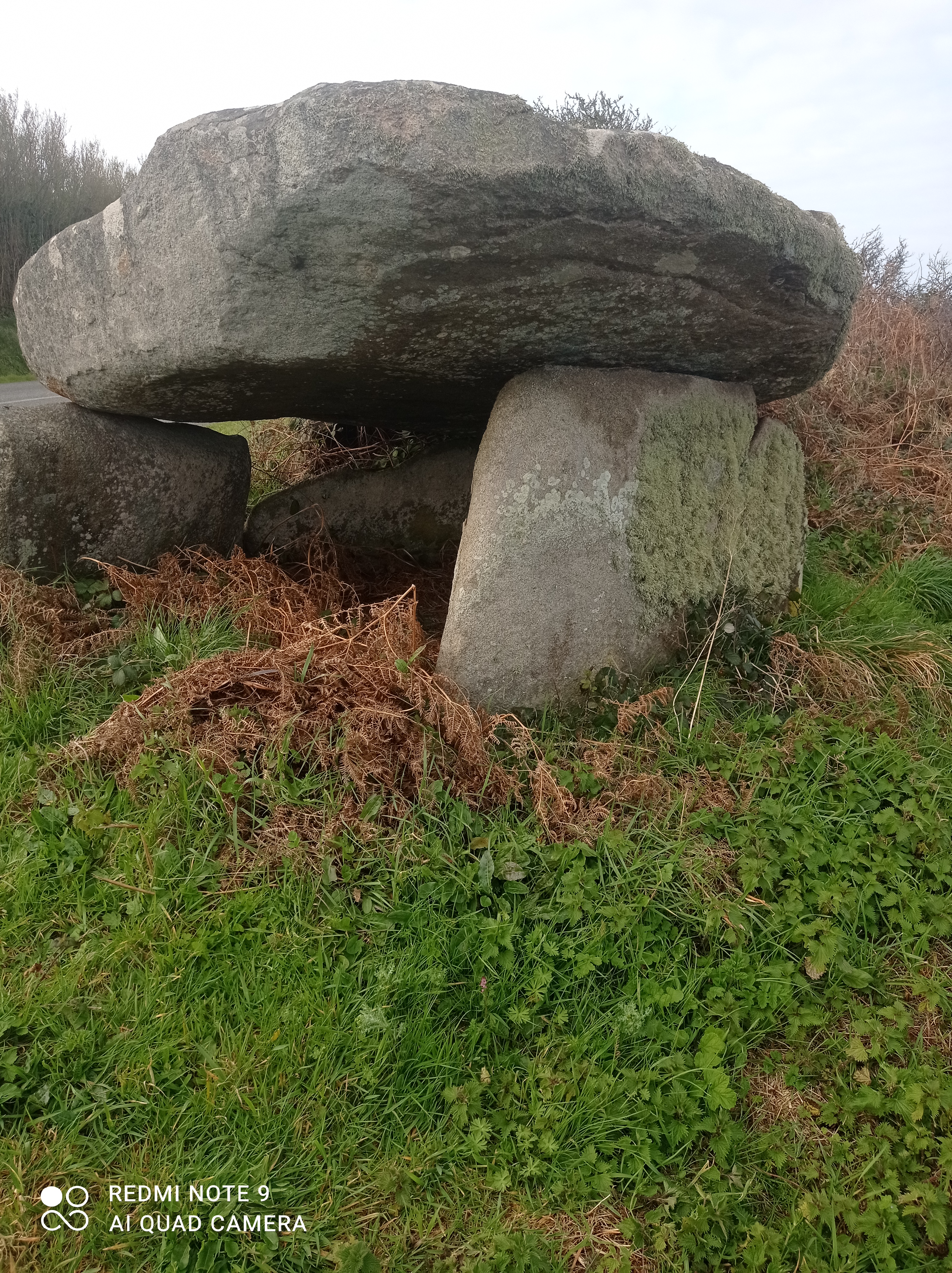 Photo n° 1 de l'avis de Lena.o fait le 20/03/2021 à 16:35