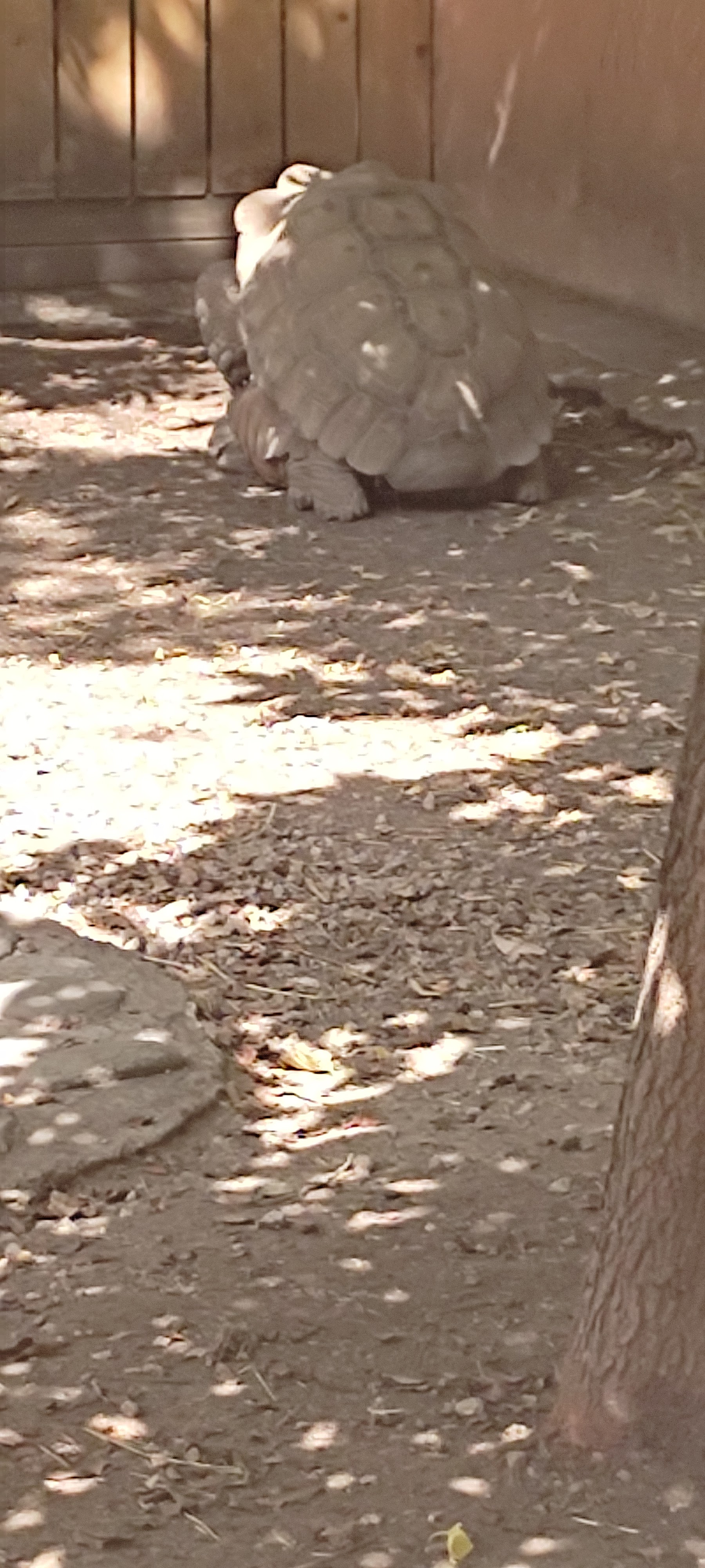 Photo n° 18 de l'avis de Astrid.i fait le 17/09/2021 à 13:14