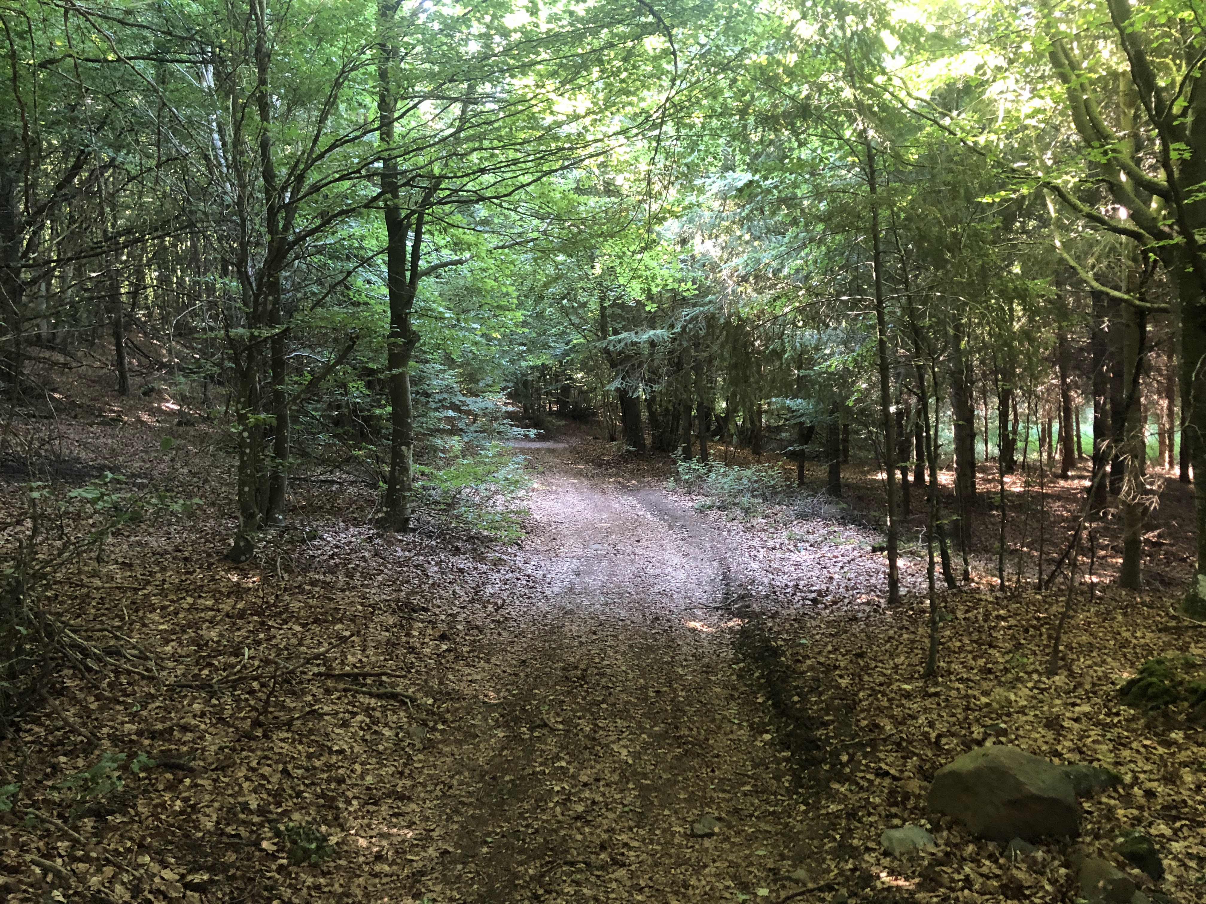 Photo n° 2 de l'avis de Alexandre.a fait le 11/11/2022 à 21:39