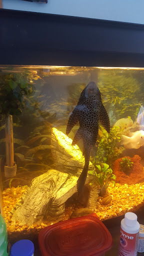 Pet Supply Store «PetSmart», reviews and photos, 13337 Worth Ave, Woodbridge, VA 22192, USA