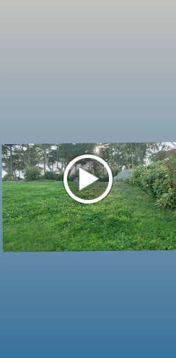 Historical Landmark «Painted Ladies», reviews and photos, Steiner St, San Francisco, CA 94117, USA