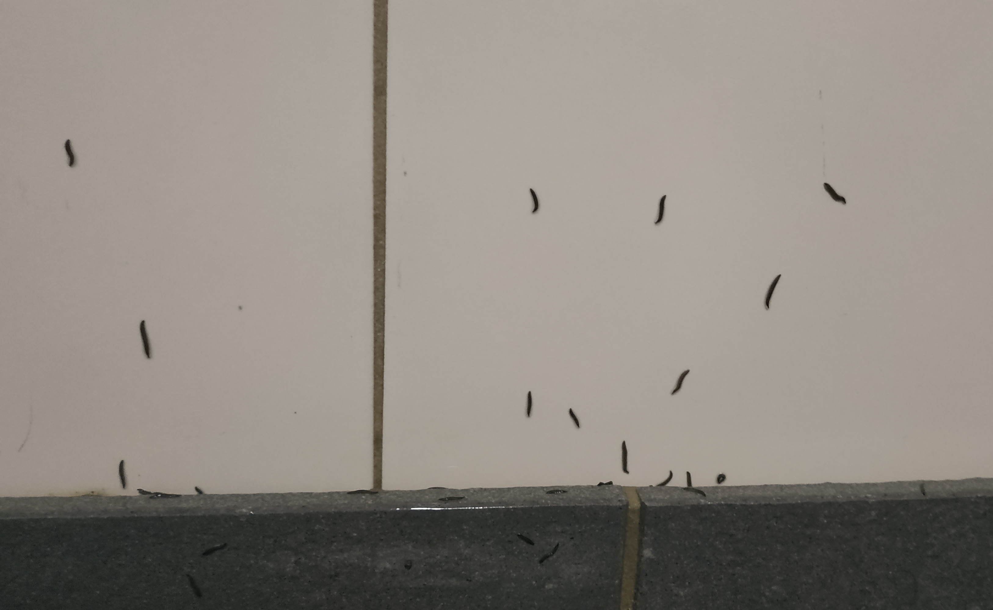 Photo n° 2 de l'avis de Vitalii.r fait le 28/09/2020 à 17:57