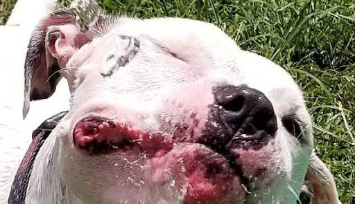 Photo of Kovack Mechanical, Inc.