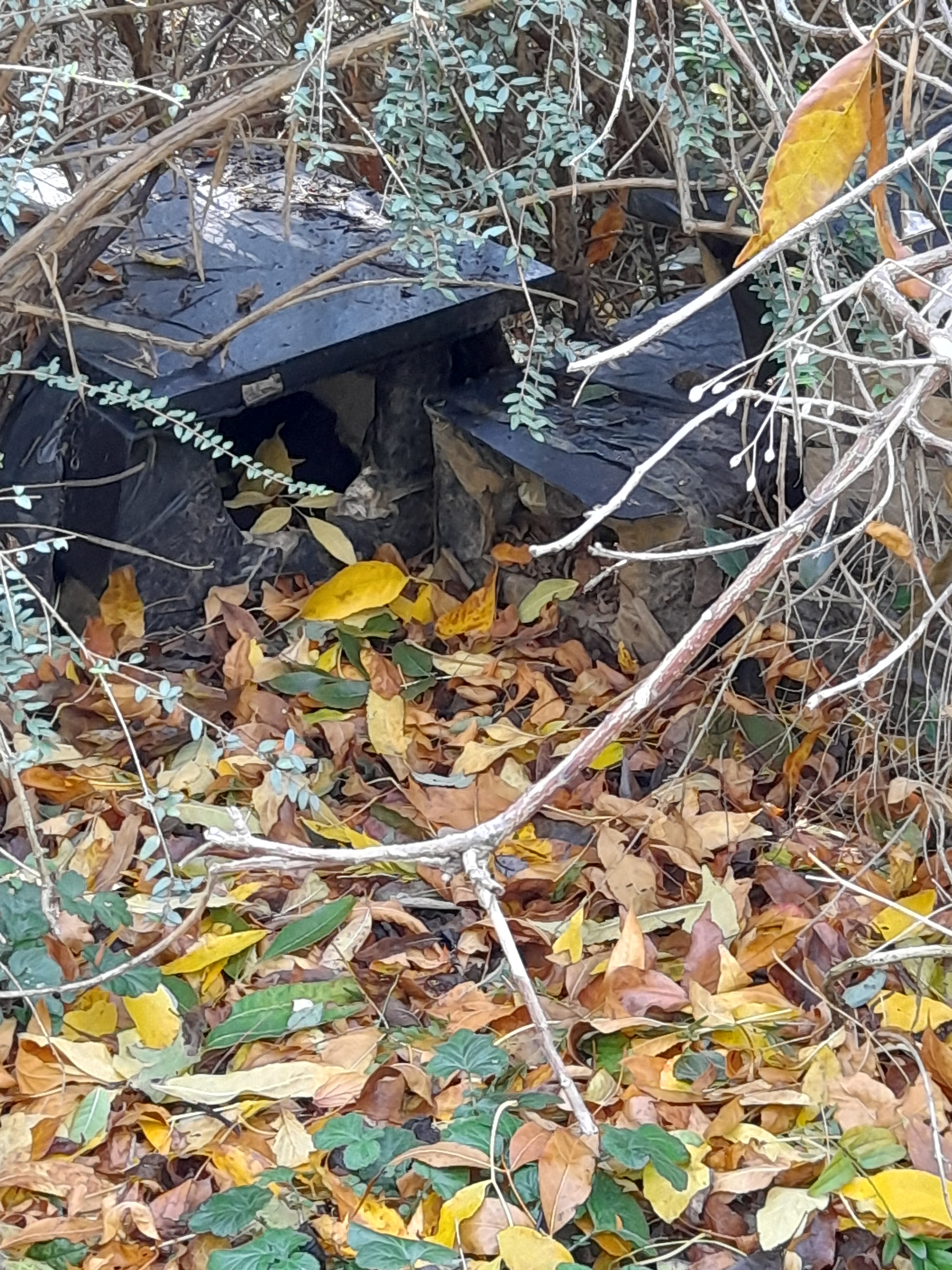 Photo n° 7 de l'avis de Anna.o fait le 24/10/2021 à 12:26