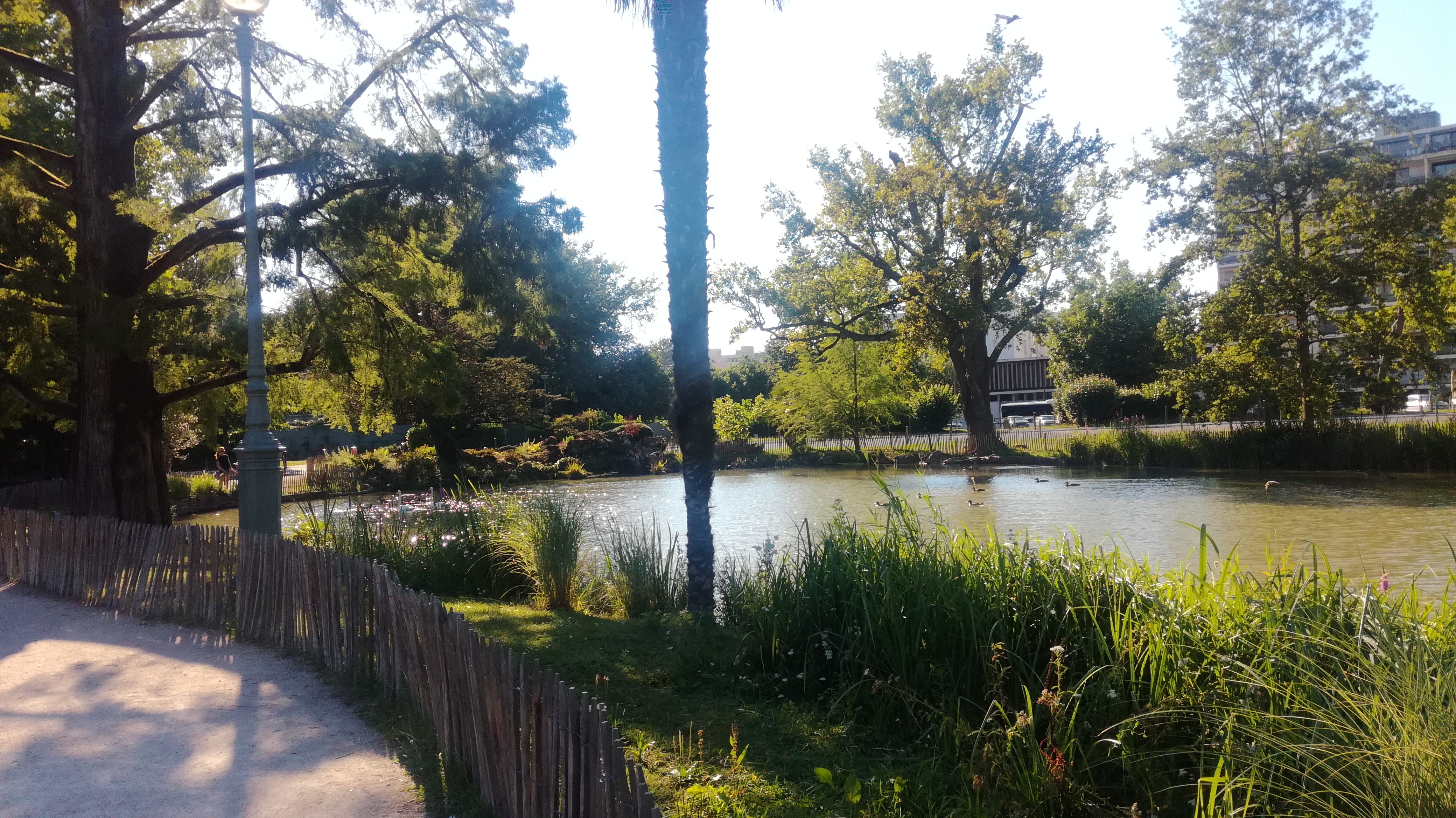 Photo n° 3 de l'avis de Benoît.i fait le 15/07/2020 à 17:44