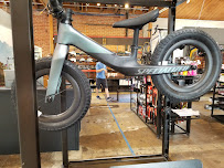 Specialized Santa Monica - Photo 4 - Car repair in Santa Monica, CA, Los Angeles