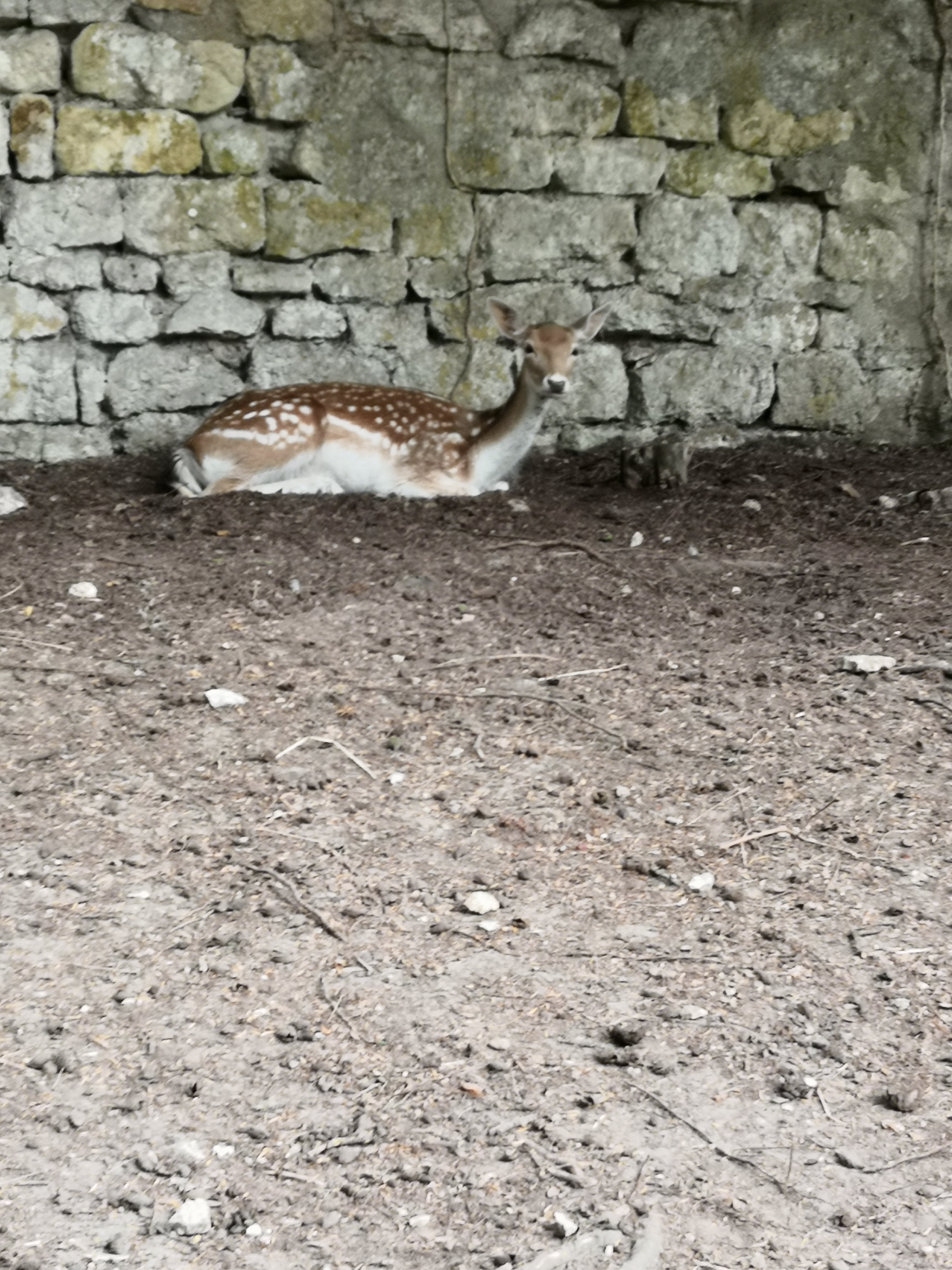 Photo n° 5 de l'avis de Alain.g fait le 31/07/2019 à 21:24
