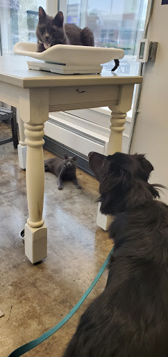 Pet Supply Store «PetSmart», reviews and photos, 533 S Tracy St, Wichita, KS 67209, USA