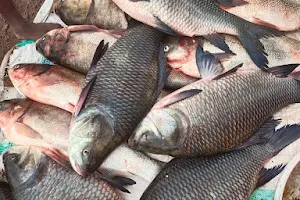 Fish Market image