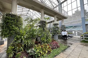 Griya Anggrek Kebon Raya Bogor image