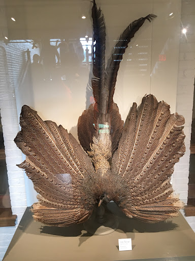 Natural History Museum «Harvard Museum of Natural History», reviews and photos, 26 Oxford St, Cambridge, MA 02138, USA