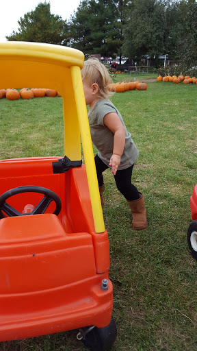 Produce Market «Kroul Farms», reviews and photos, 245 IA-1, Mt Vernon, IA 52314, USA