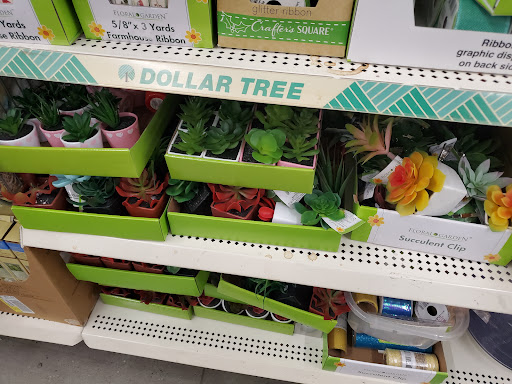 Dollar Store «Dollar Tree», reviews and photos, 1207 New Brunswick Ave, Phillipsburg, NJ 08865, USA