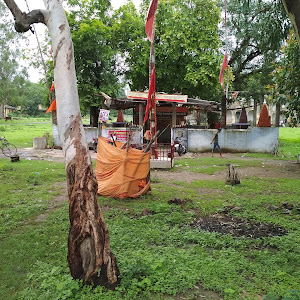 Shree Jay Pahalwan Baba Mandir photo
