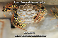 Jeepers Creepers Exterminating Inc | Pest Control Service in Covina, CA - Photo 2 - Car repair in , Rancho Cucamonga