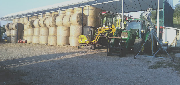 L'agricola Faija contrada fontana lunga, 7, 83057 Torella dei Lombardi AV, Italia