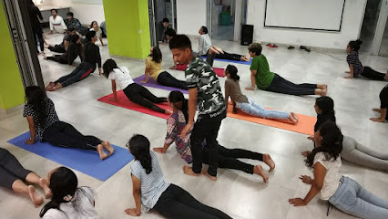 Yoga Classes & Home Yoga Classes