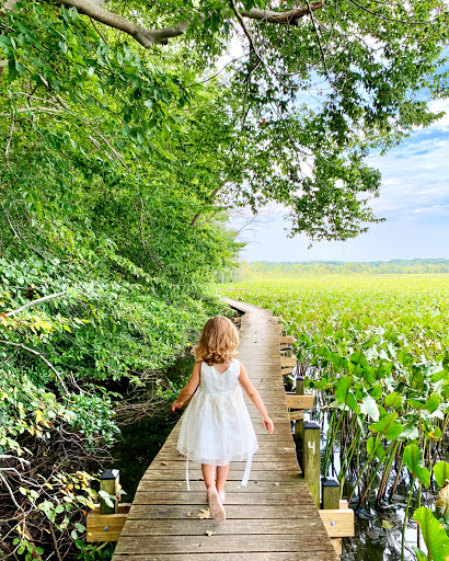 Nature Preserve «Jug Bay Wetlands Sanctuary», reviews and photos, 1361 Wrighton Rd, Lothian, MD 20711, USA