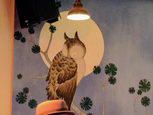 Live Music Venue «The Owl Music Parlor», reviews and photos, 497 Rogers Ave, Brooklyn, NY 11225, USA