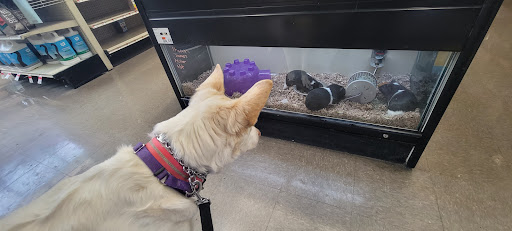 Pet Supply Store «Pet Supplies Plus», reviews and photos, 3644 Long Beach Rd, Oceanside, NY 11572, USA