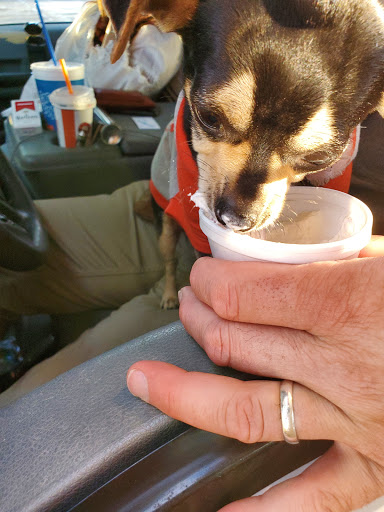 Ice Cream Shop «Twistee Treat», reviews and photos, 4945 US Hwy 98 N, Lakeland, FL 33809, USA