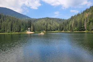 Synevyr lake image