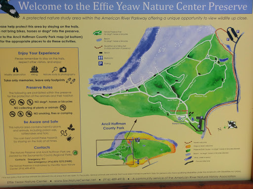 Nature Preserve «Effie Yeaw Nature Center», reviews and photos, 2850 San Lorenzo Way, Carmichael, CA 95608, USA