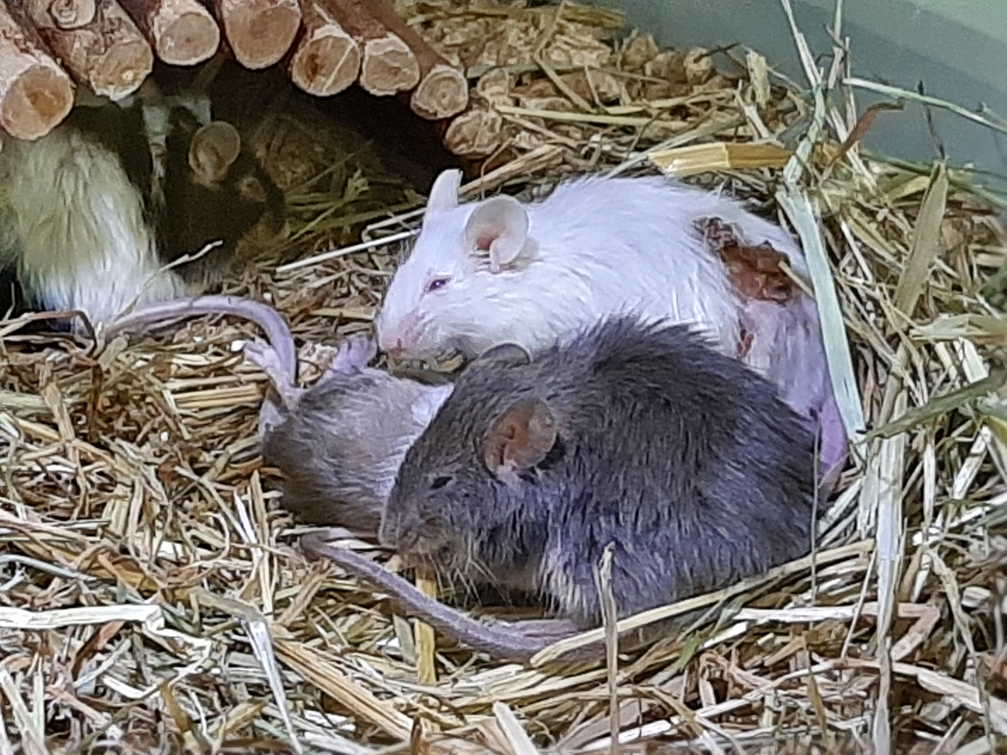 Photo n° 2 de l'avis de pchours.o fait le 20/08/2021 à 18:50